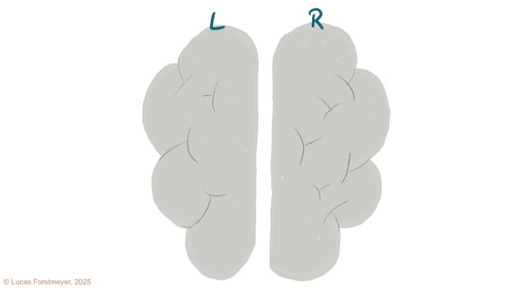 1.1: The Fundamental Dilemma: Why the Brain Needs Two Halves
