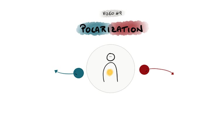 13. Polarization in IFS: When Inner Parts Compete with Each Other