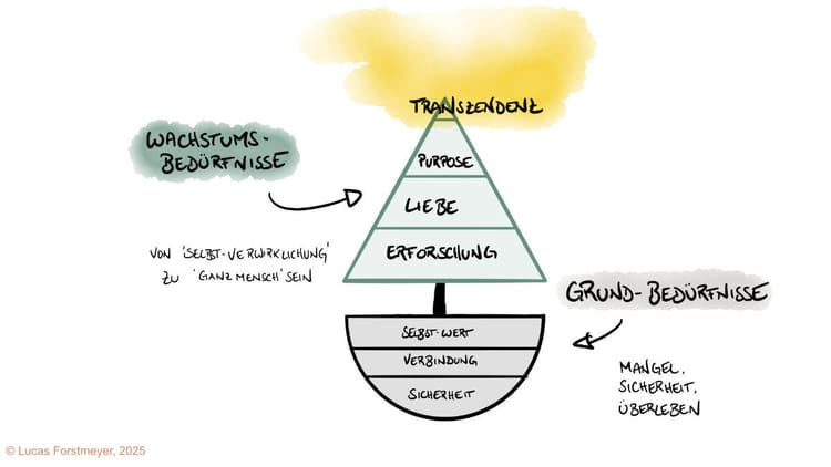 5. Glossary: Key Concepts of the Need and Growth Model